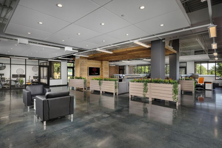 BrightTree Studios New Headquarters
