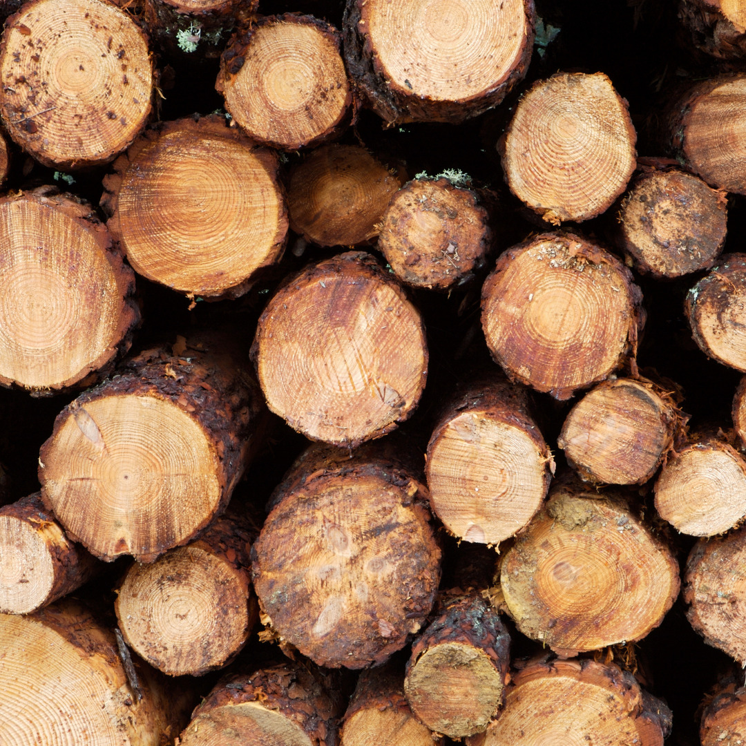 Mass Timber